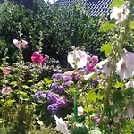 Appartement Stockrosenhuus Westerland