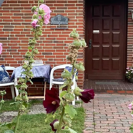 Apartment Stockrosenhuus *