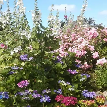 Apartment Stockrosenhuus Westerland