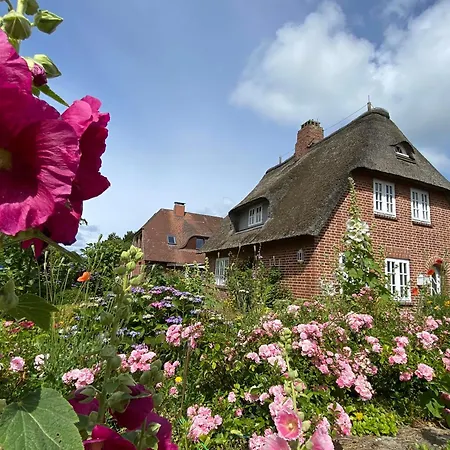 Stockrosenhuus Appartement Westerland