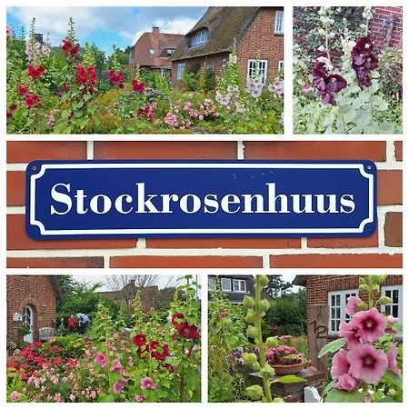 Stockrosenhuus Appartement Westerland